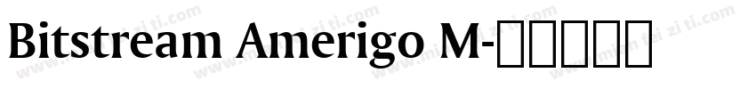 Bitstream Amerigo M字体转换